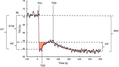 Effects of Blood Flow Restriction on O2 Muscle Extraction and O2 Pulmonary Uptake Kinetics During Heavy Exercise